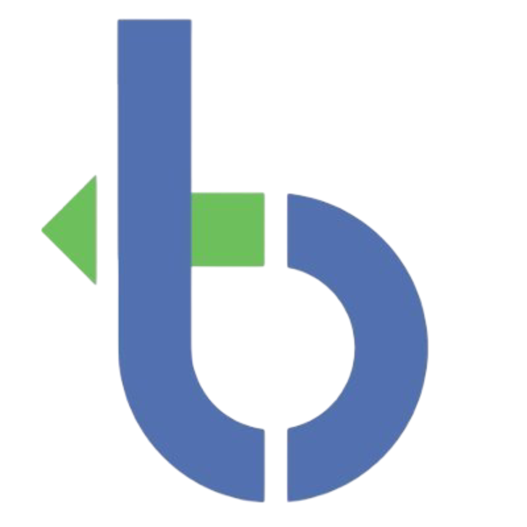 Campaign for Better Transport